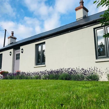 Lavender Cottage - 2 Bedroom Home Newbridge  Eksteriør bilde