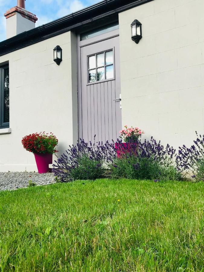 Lavender Cottage - 2 Bedroom Home Newbridge  Eksteriør bilde